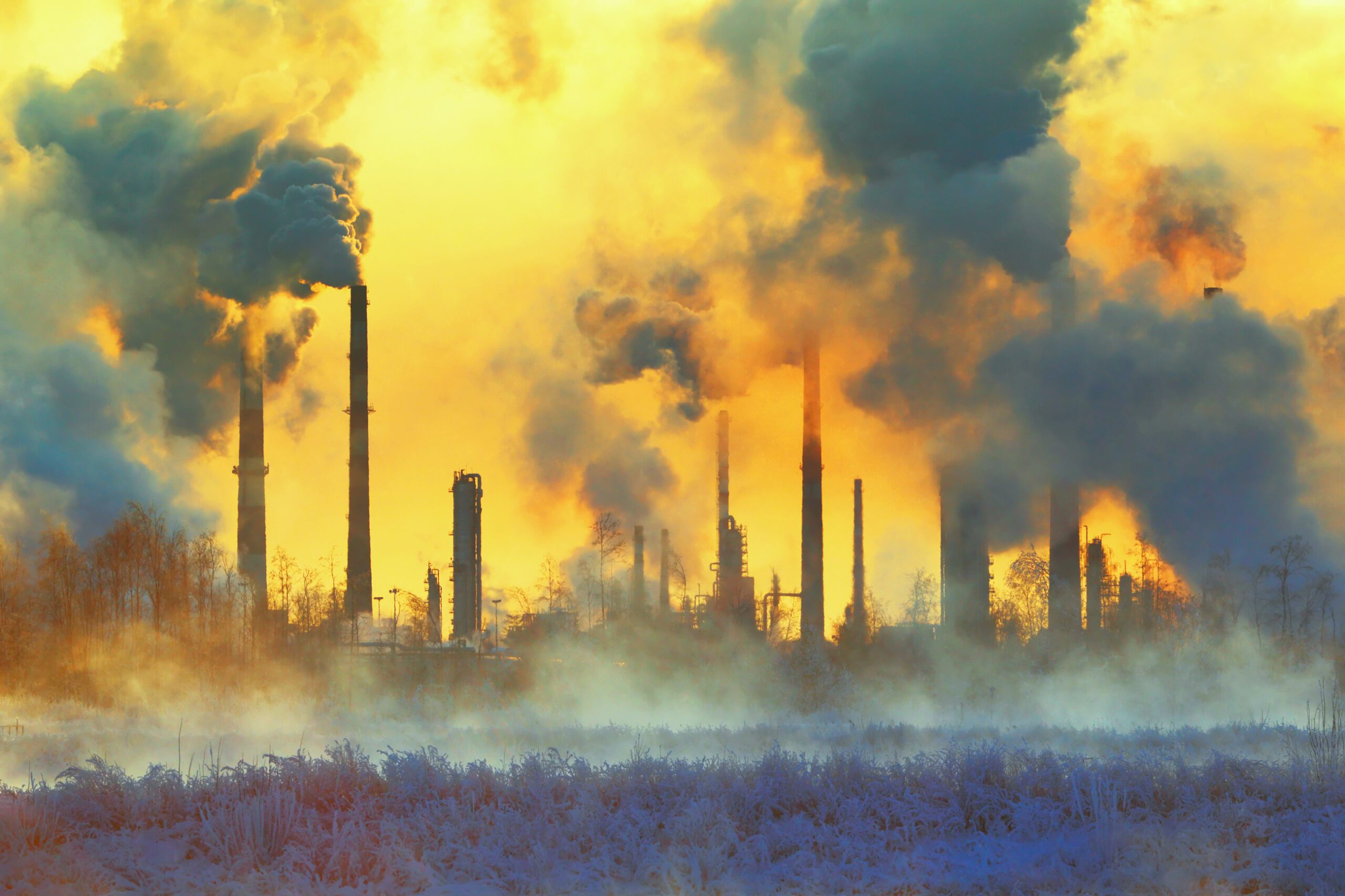 The True Cost of Cheap Consumer Goods on the Planet - RedCloud Technology